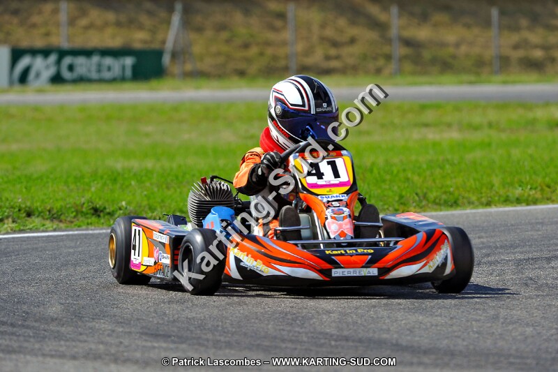 DSC_ (696).jpg